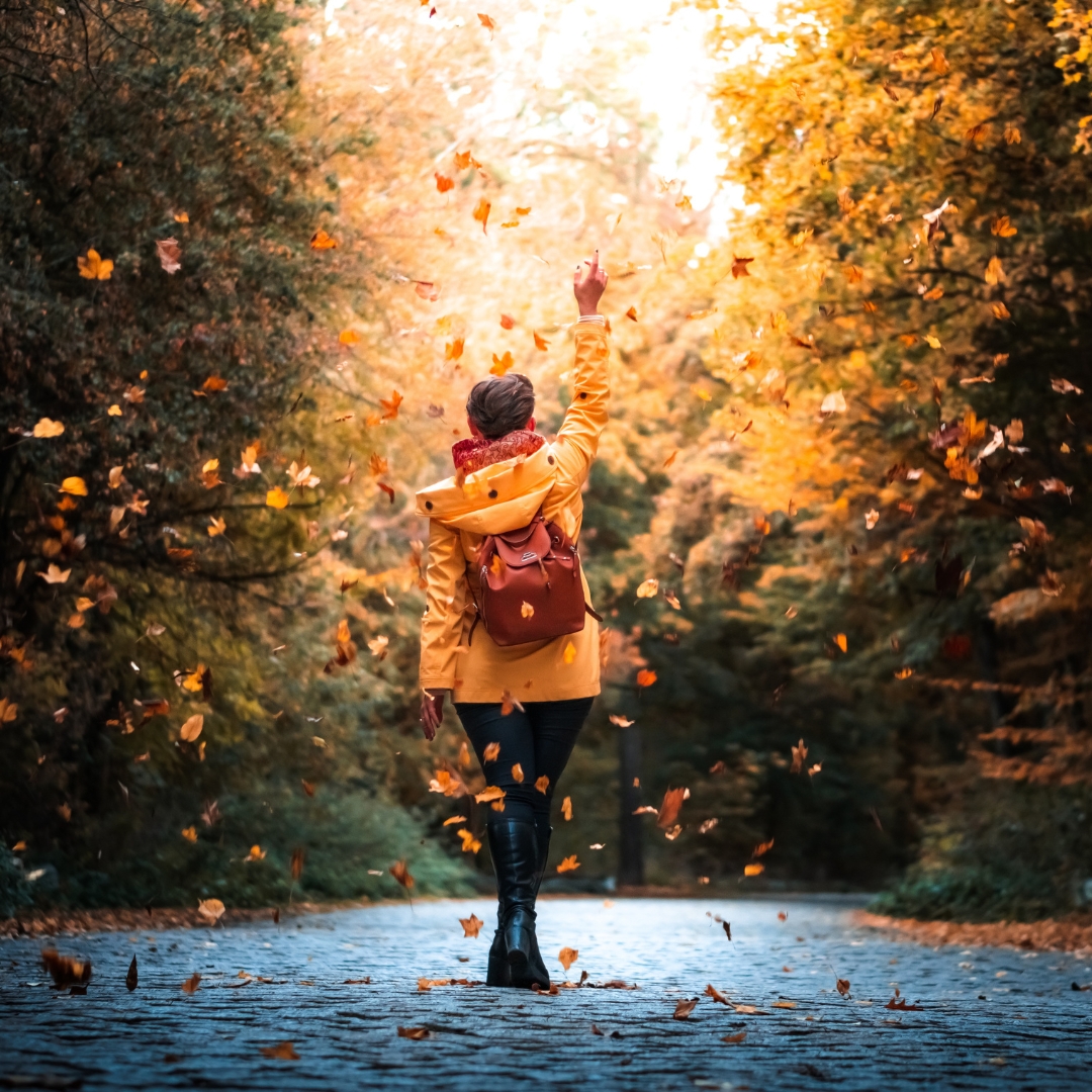 What does the Bible say about greed in Colossians 3:5, shown by a woman walking through falling autumn leaves as a reminder to release what we cling to and seek God instead.